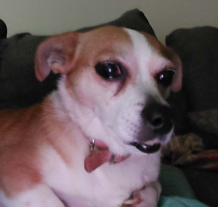 Photo of Butter