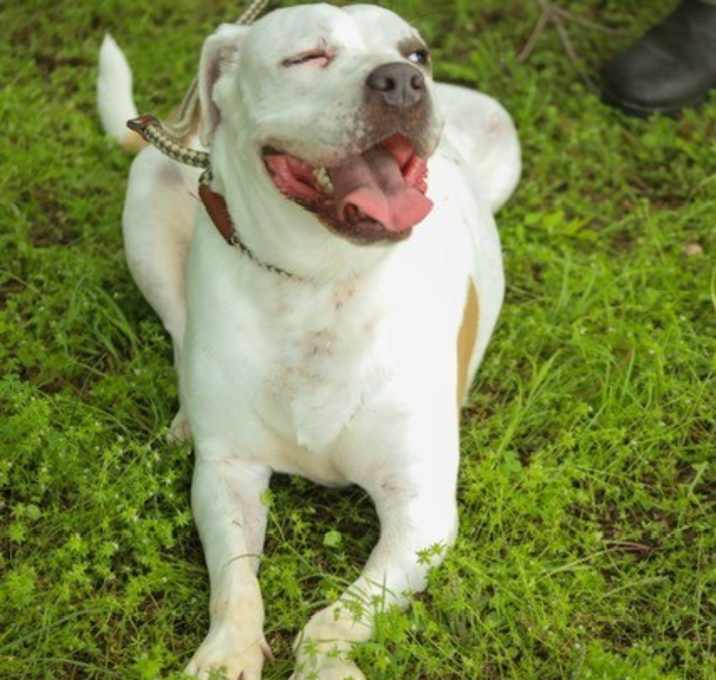 Photo of Moxie