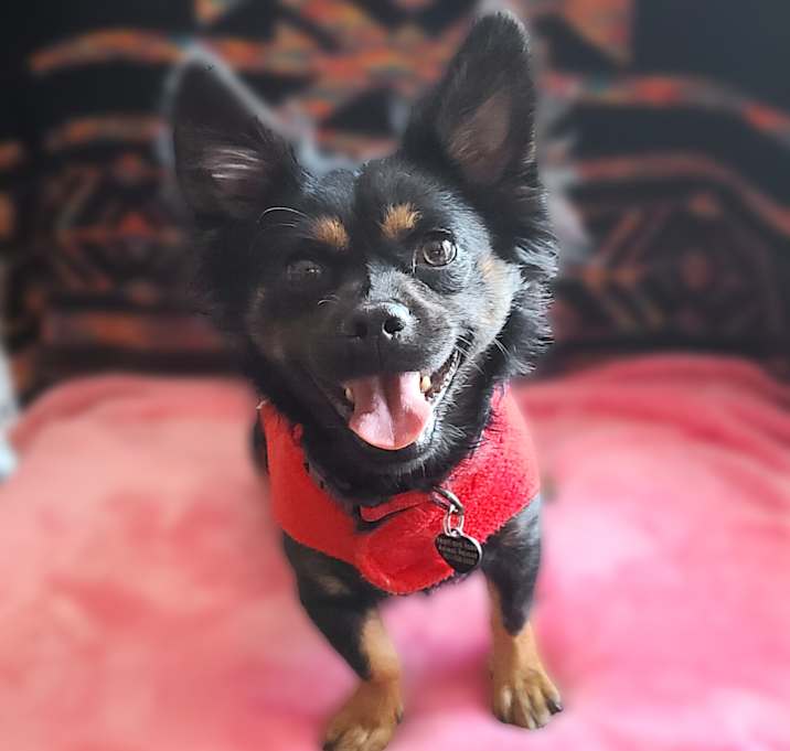 Photo of Betsy