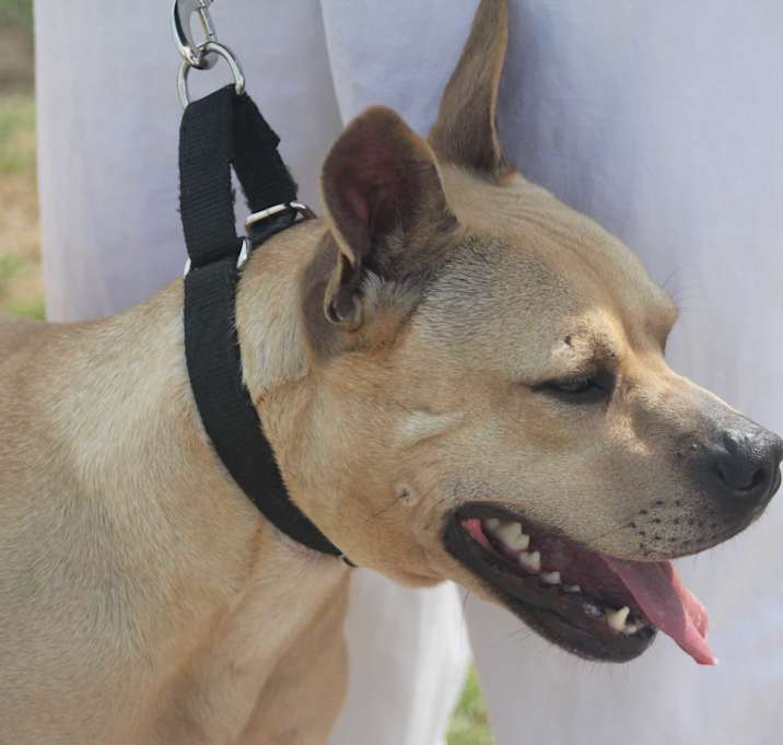 Photo of Charlie