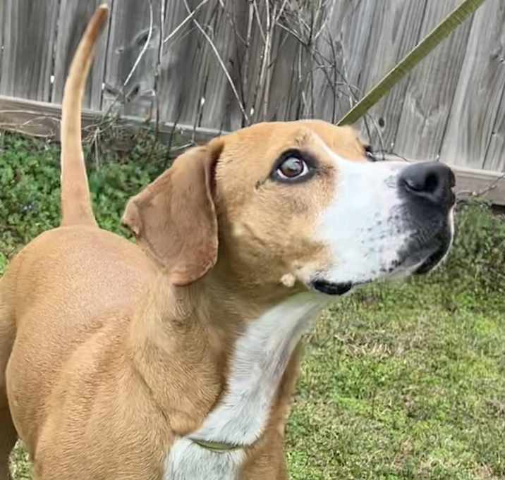 Photo of Remi
