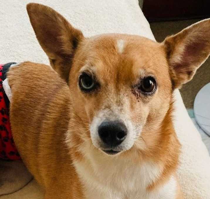 Photo of Carson