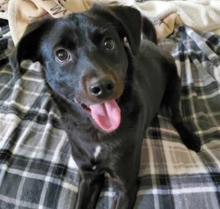 Photo of Reggie