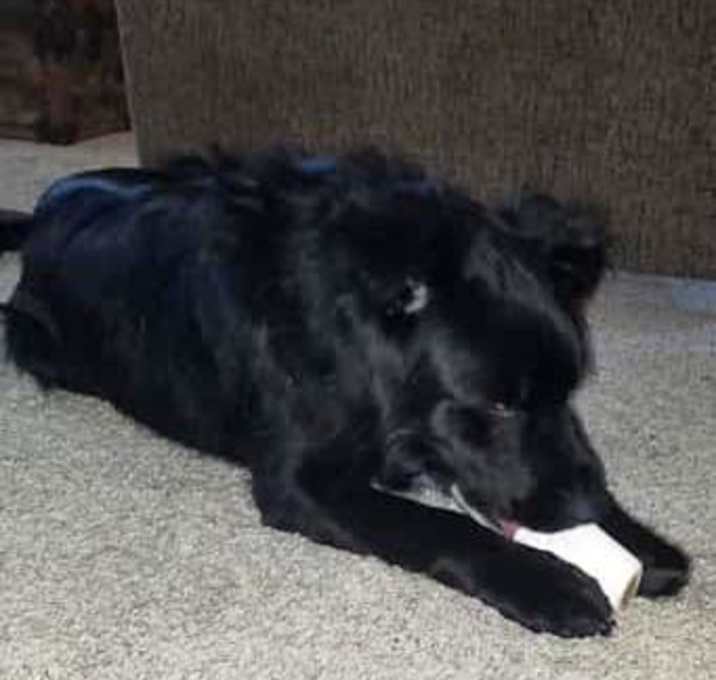 Photo of Connor