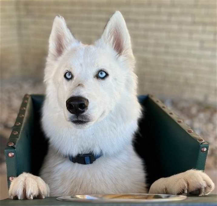 Photo of Jackson **Special medical needs**