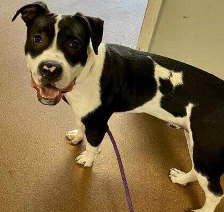Photo of Luigi