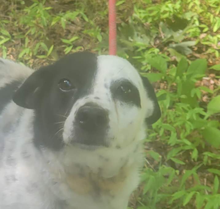 Photo of Jack