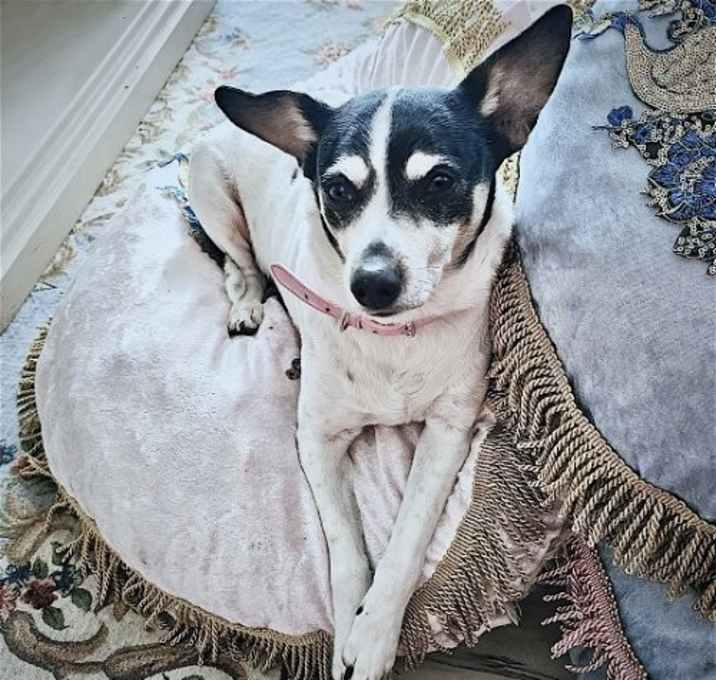 Photo of Jax (WA)