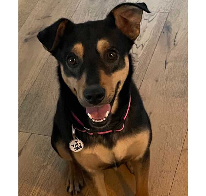 Photo of BODHI