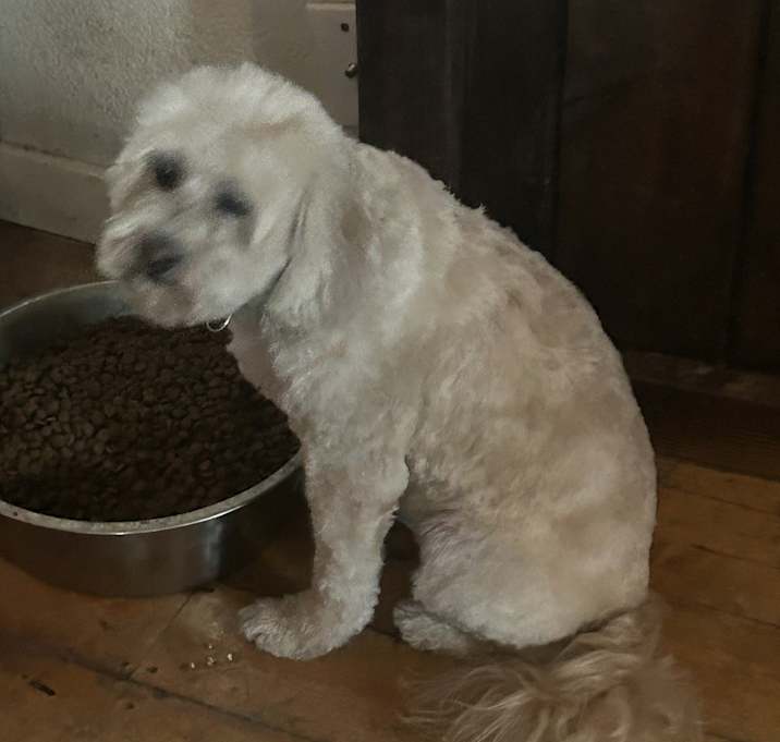 Photo of Walter