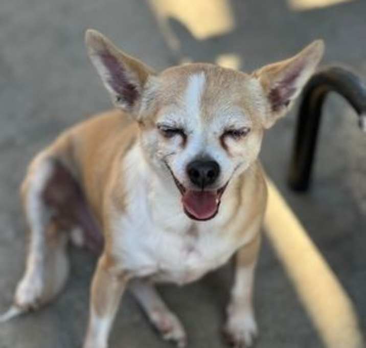 Photo of Misha