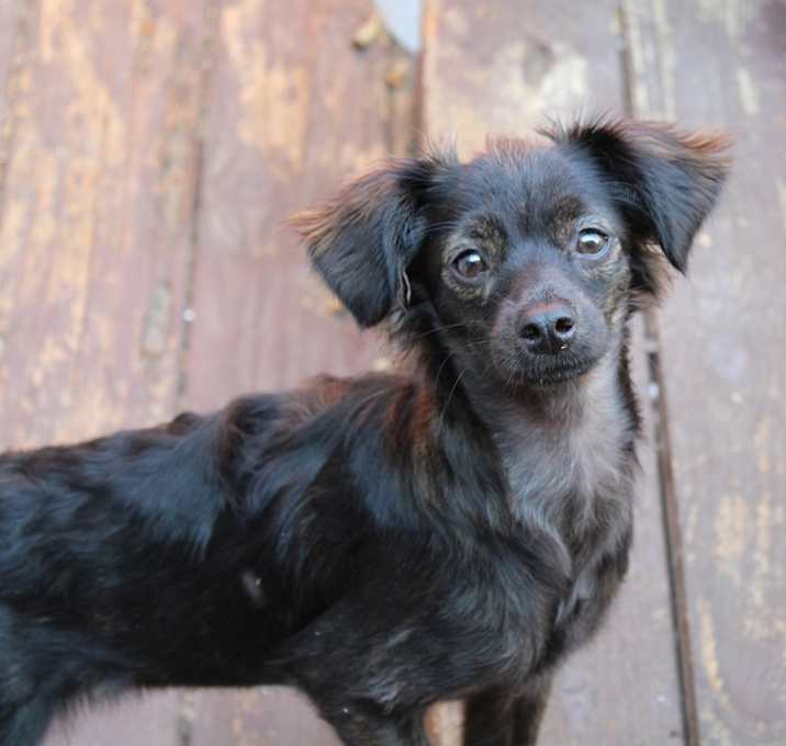 Photo of Jilly