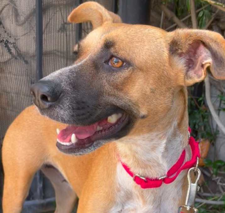 Photo of Zelda