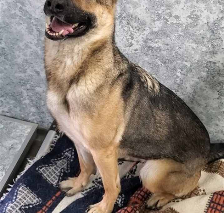Photo of Molly Mae