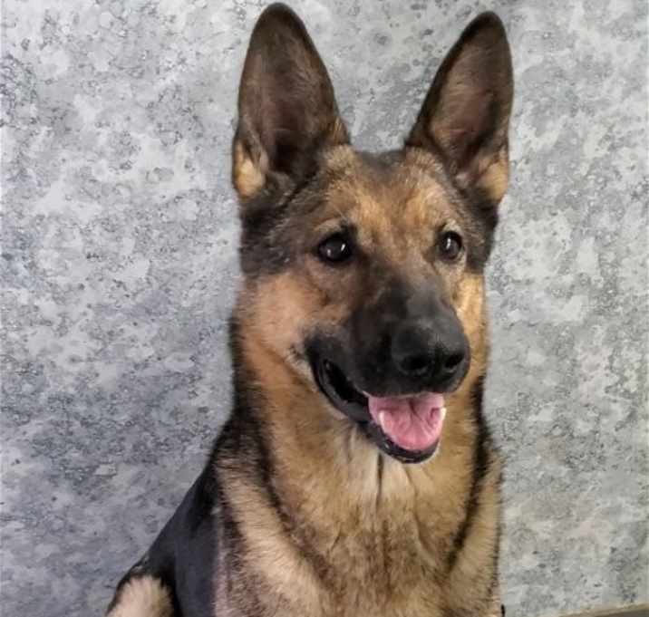 Photo of Nova
