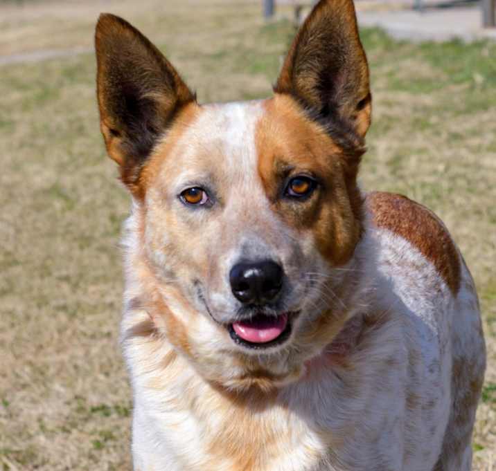 Photo of Charlie