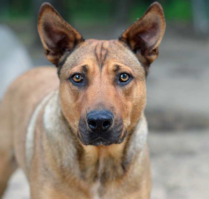 Photo of Cherokee