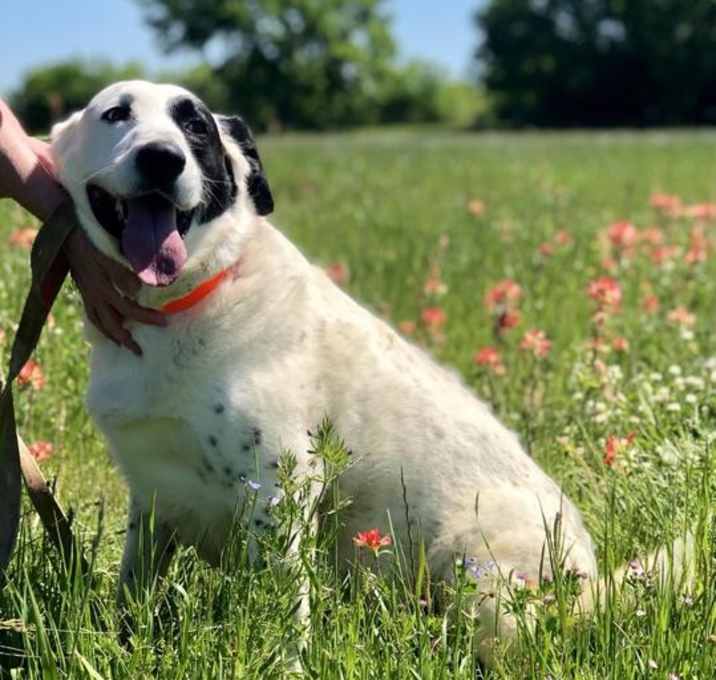 Photo of RUBY