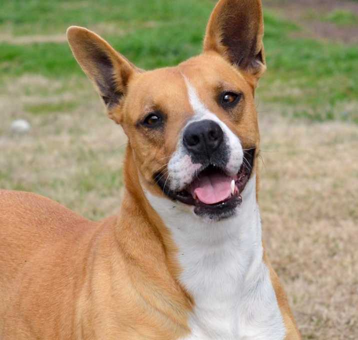 Photo of Star