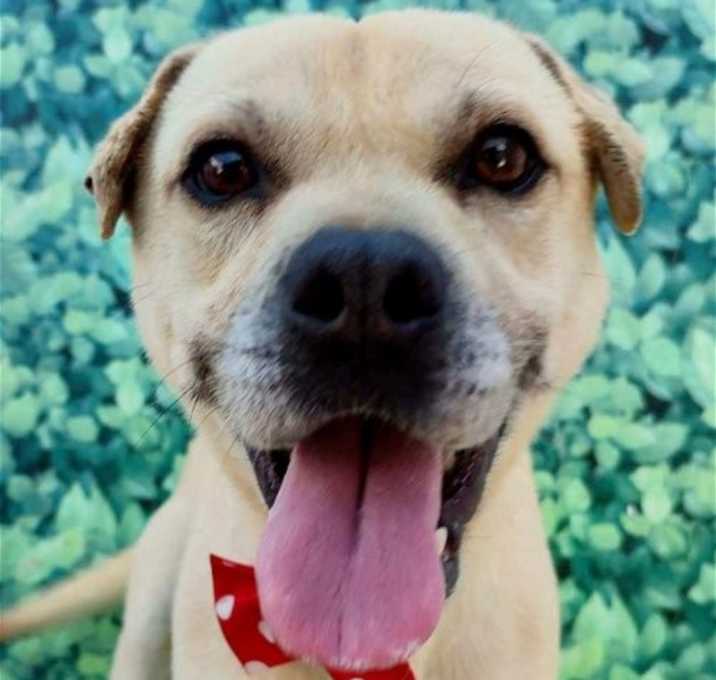 Photo of Gordy