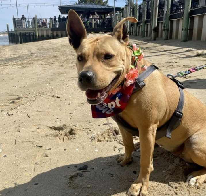 Photo of Kane - Single and ready to mingle!