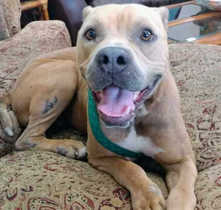 Photo of Tank