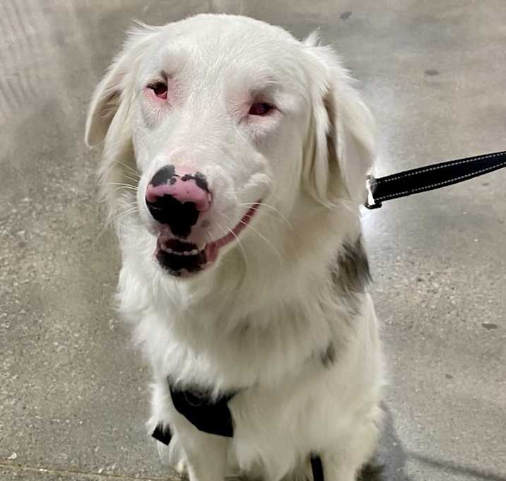 Photo of Tango