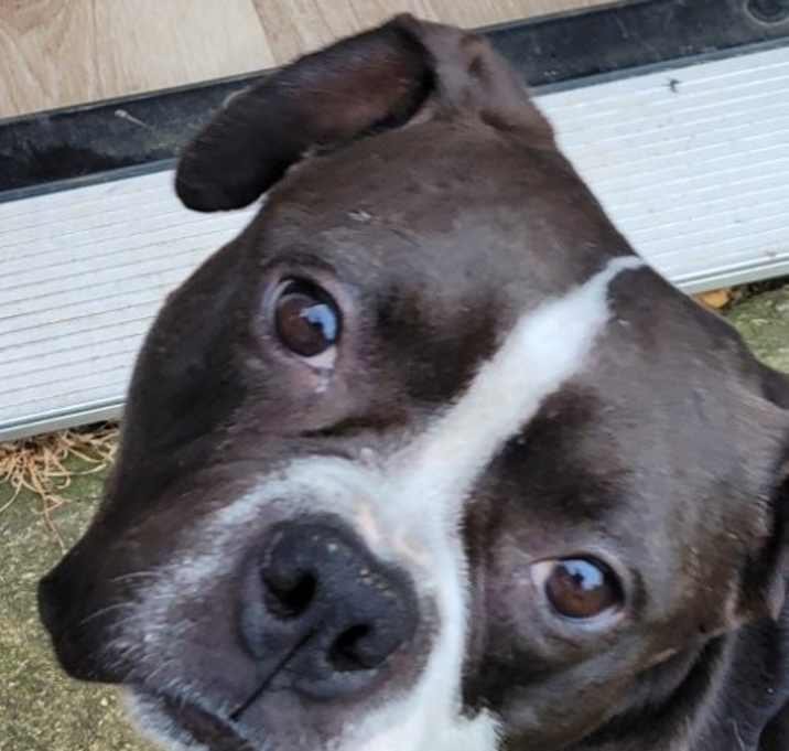 Photo of Nellie