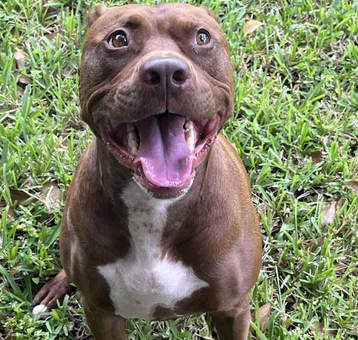 Photo of Buddy