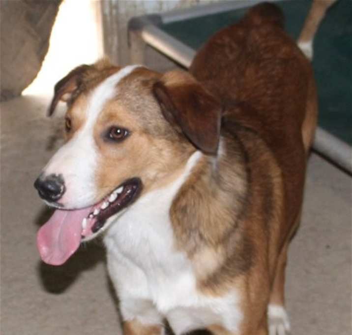 Photo of Kia