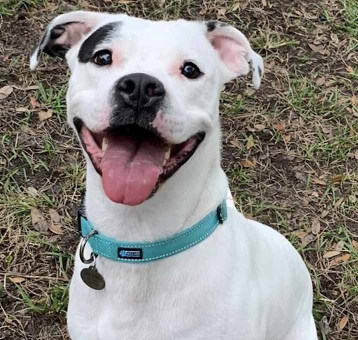 Photo of Rizzo