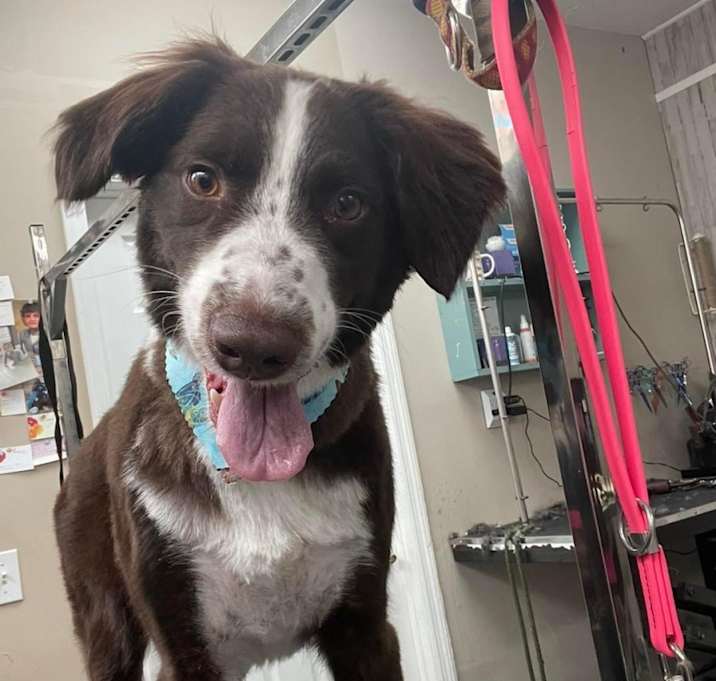 Photo of Jasper