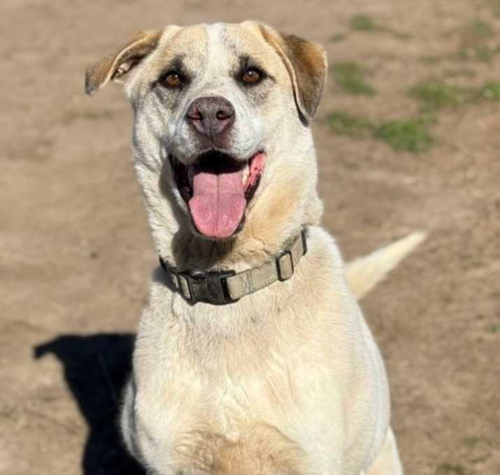 Photo of Jasper
