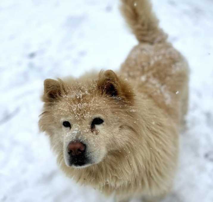 Photo of Tyron