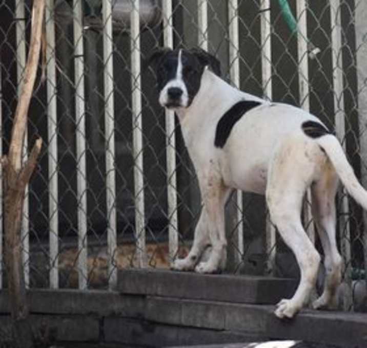 Photo of Rudy