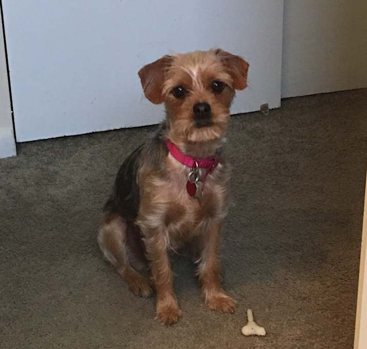 Photo of KiKi