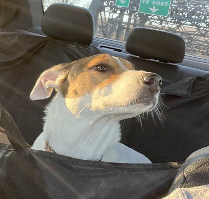 Photo of Lily