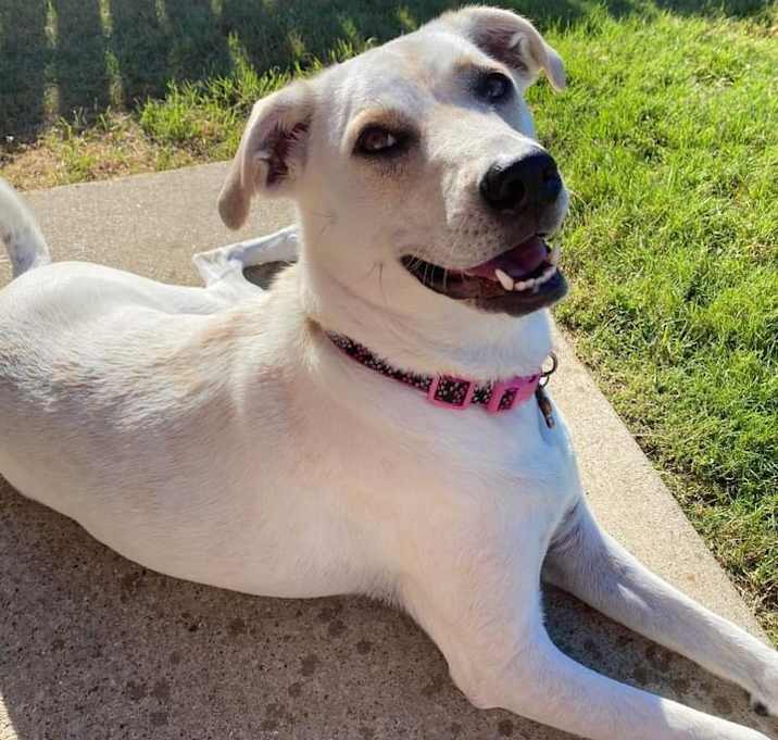 Photo of Chloe
