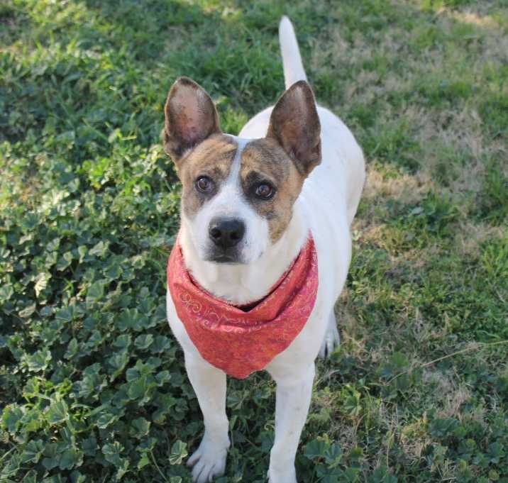 Photo of Jedi aka Batman