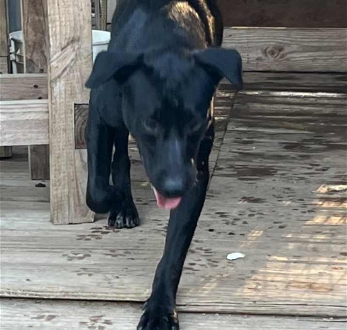 Photo of Venti