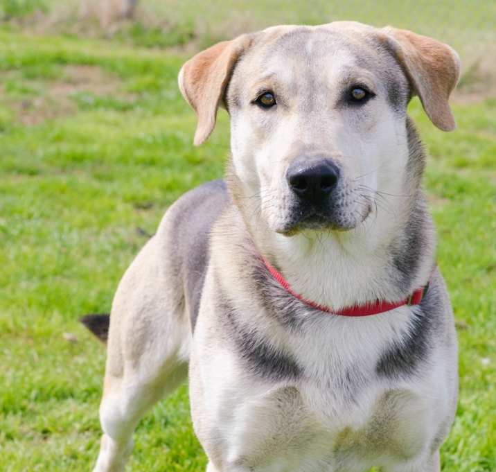 Photo of Ralph
