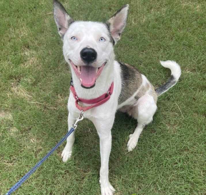 Photo of Kacy - Happy Go Lucky Girl!