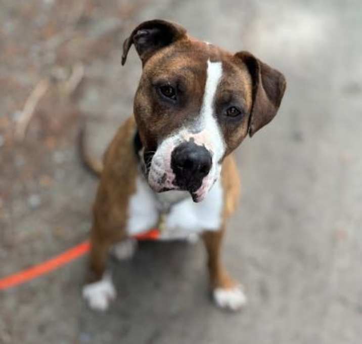 Photo of Riggs
