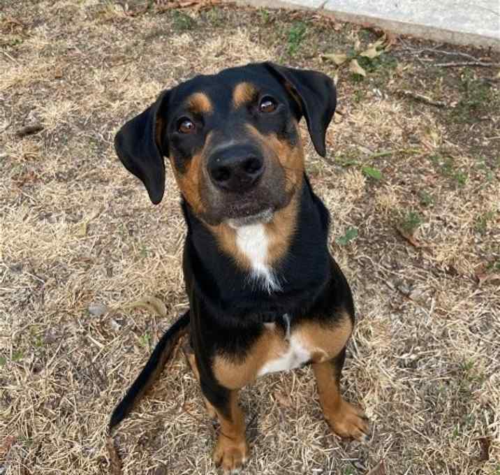 Photo of boba