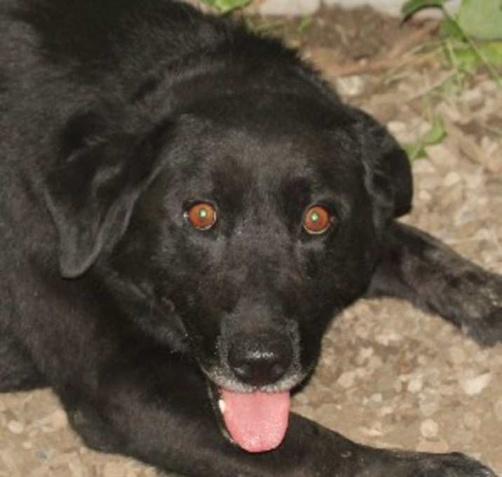 Photo of Happy