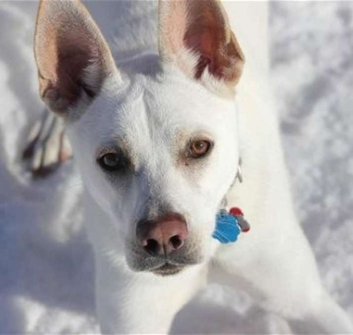 Photo of Fallon D5629