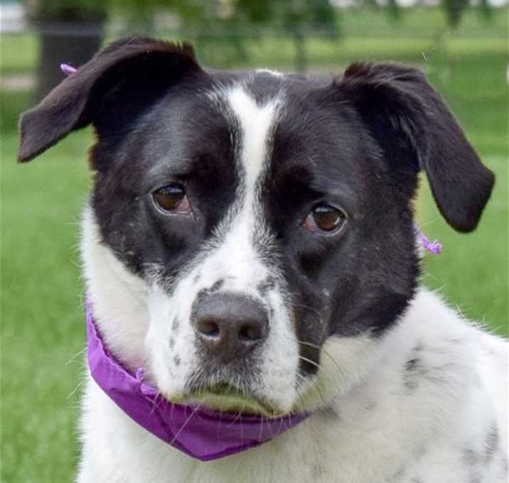 Photo of Ella