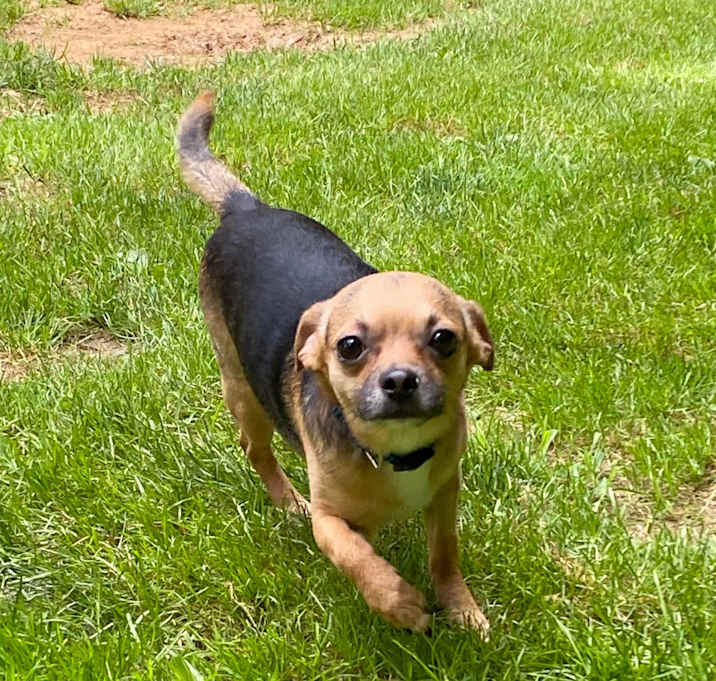 Photo of Buster