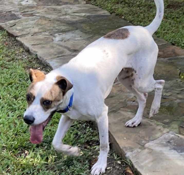 Photo of Friday aka Maverick