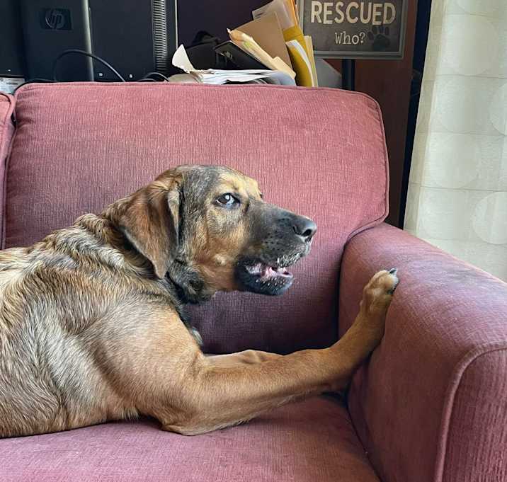 Photo of Ruckus